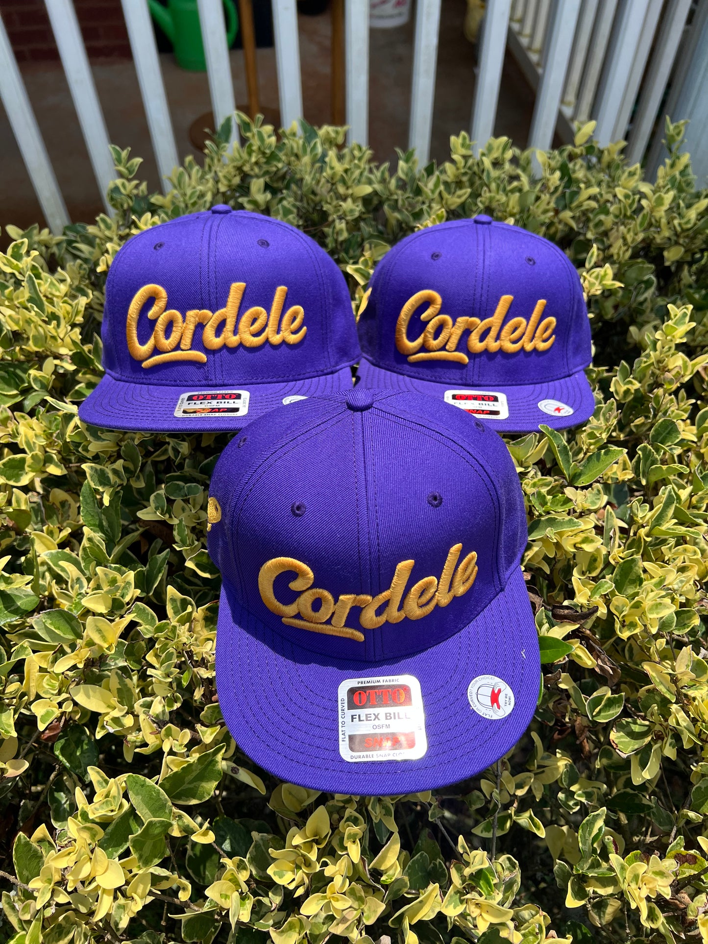 ⭐️ Cordele Classic™ Purple SnapBack