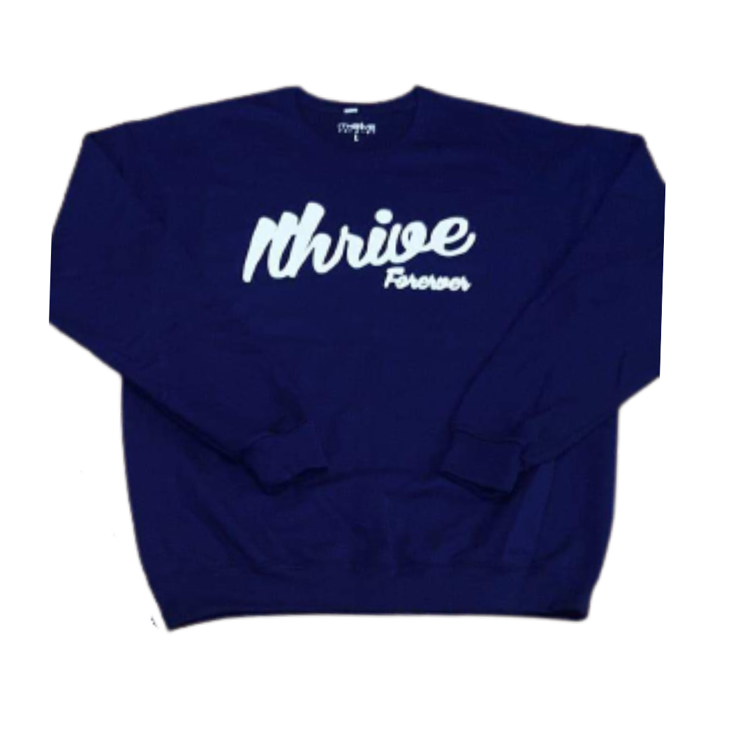 Navy Retro Sweatshirt