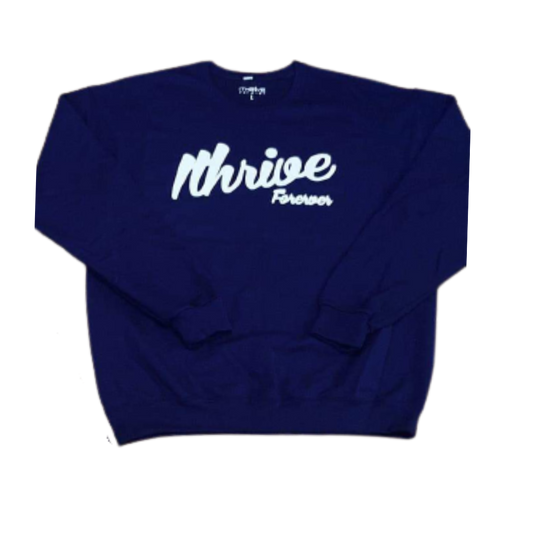 Navy Retro Sweatshirt