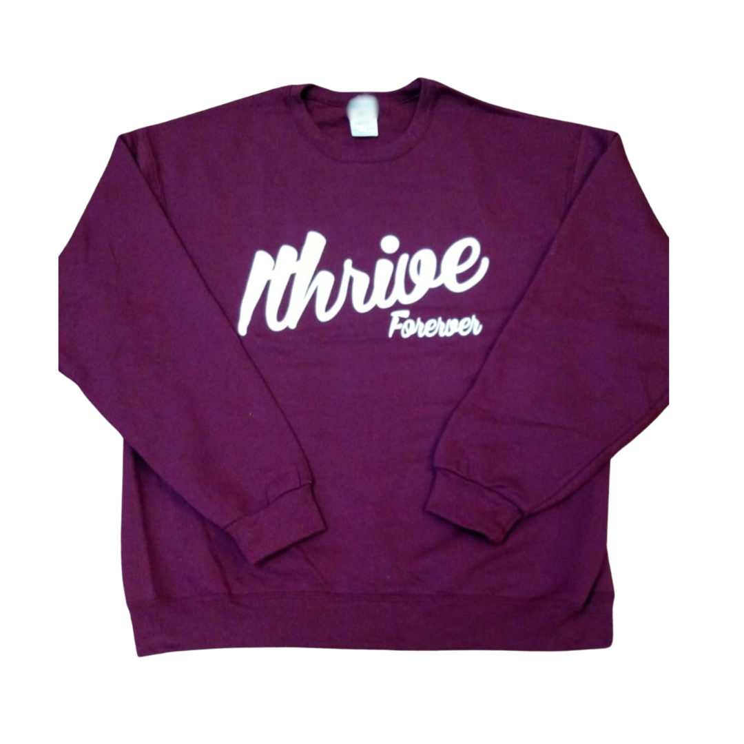 Maroon Retro Sweatshirt